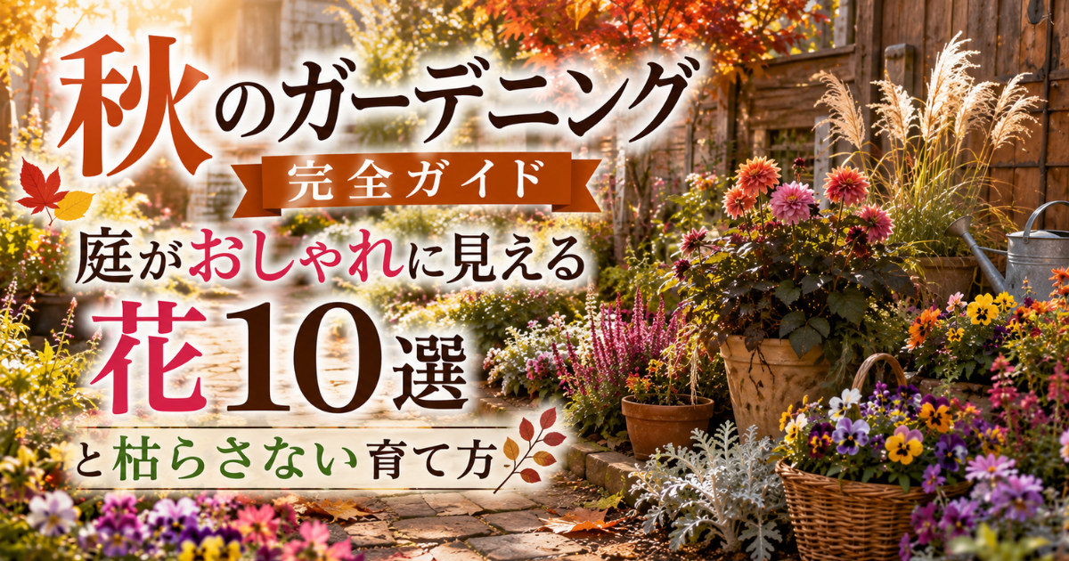 【秋のガーデニング完全ガイド】庭がおしゃれに見える花10選と枯らさない育て方