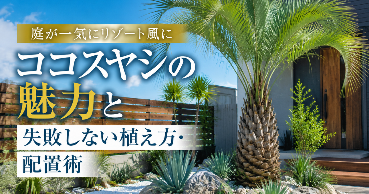 【庭が一気にリゾート風に】ココスヤシの魅力と失敗しない植え方・配置術