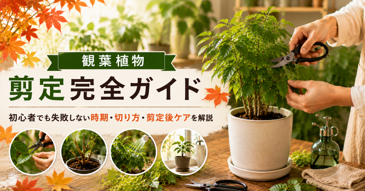 【秋の観葉植物剪定完全ガイド】初心者でも失敗しない時期・切り方・剪定後ケアを解説