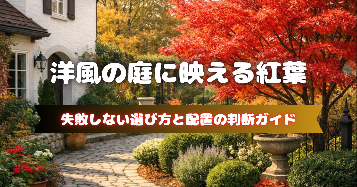 【洋風の庭に映える紅葉】失敗しない選び方と配置の判断ガイド