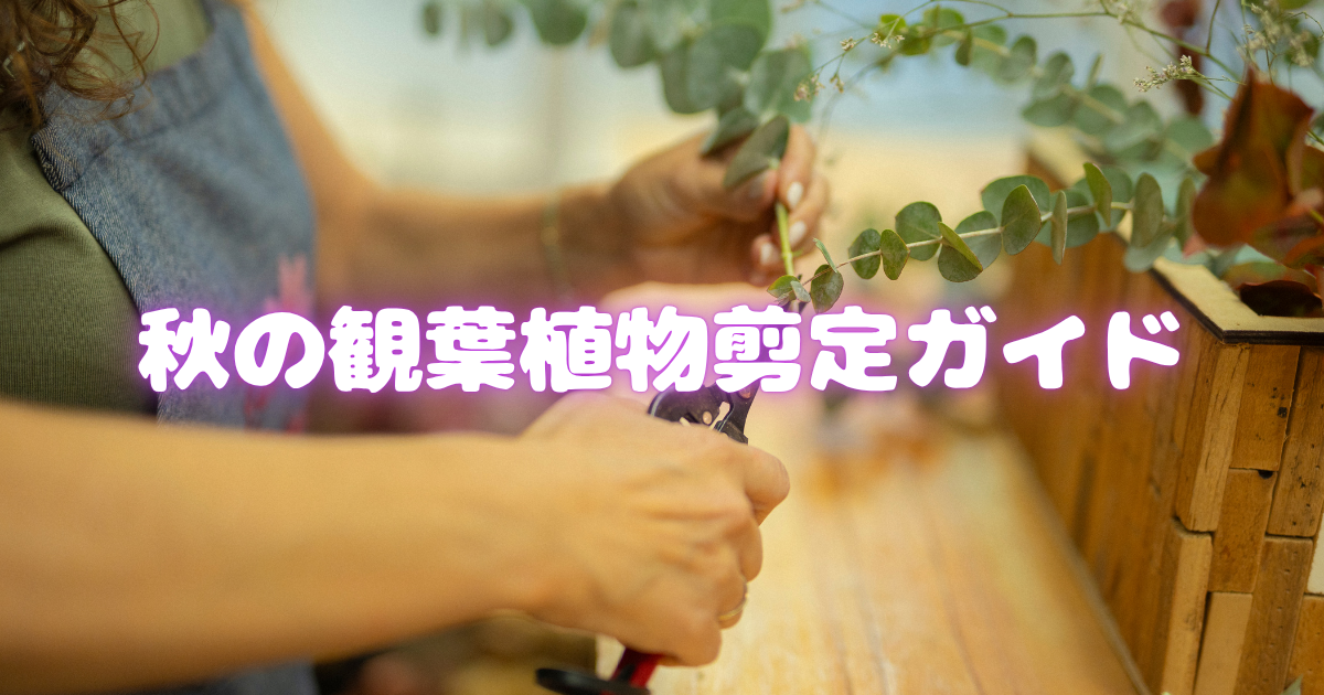秋の観葉植物剪定ガイド