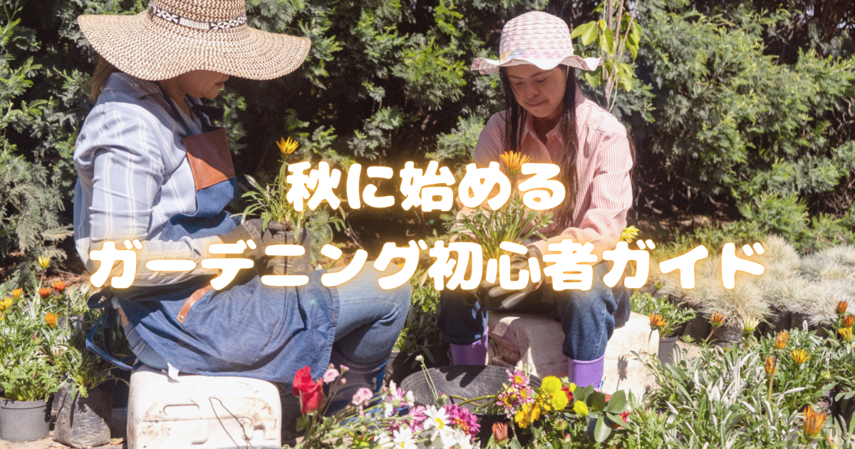 秋に始めるガーデニング初心者ガイド成功の秘訣とおすすめ植物