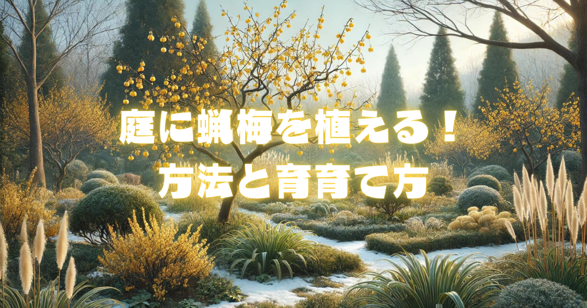 【庭に蝋梅を植える方法と育て方】美しい冬の花を楽しむ庭作り