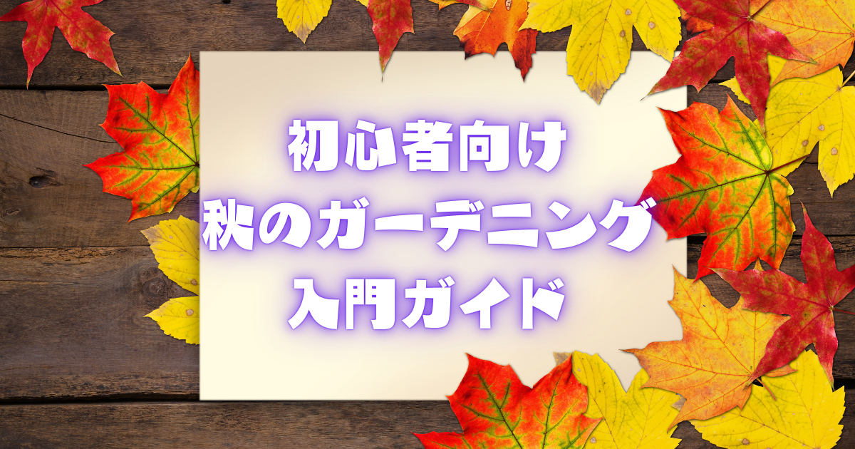 初心者向け秋のガーデニング入門ガイド