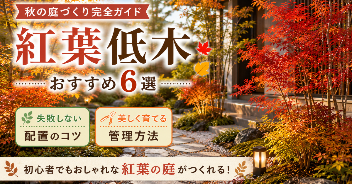 【秋の庭づくり完全ガイド】紅葉低木おすすめ6選＋失敗しない配置・管理方法