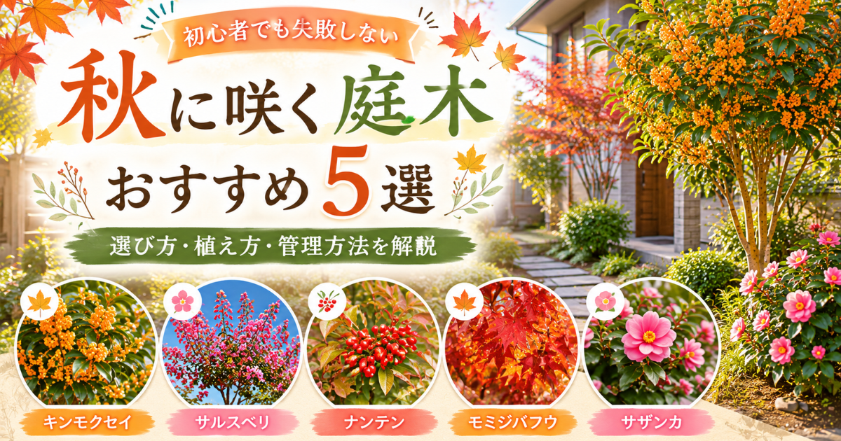 【秋に咲く庭木おすすめ5選】初心者でも失敗しない選び方・植え方・管理方法を解説