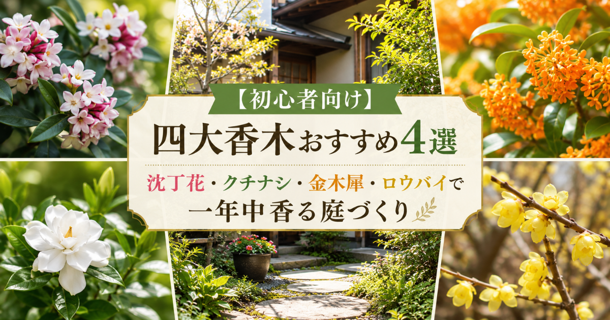 【初心者向け】四大香木おすすめ4選：沈丁花・クチナシ・金木犀・ロウバイで一年中香る庭づくり