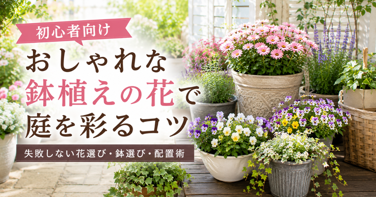 【初心者向け】おしゃれな鉢植えの花で庭を彩るコツ：失敗しない花選び・鉢選び・配置術