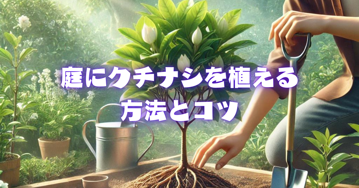 【庭にクチナシを植える方法とコツ】初心者向けガイド