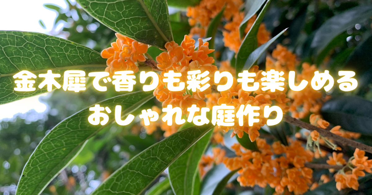 金木犀で香りも彩りも楽しめるおしゃれな庭作り