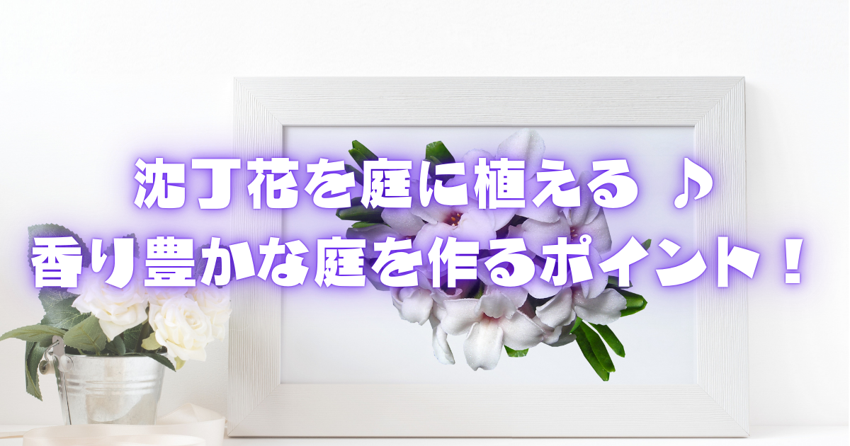 【沈丁花を庭に植える方法】香り豊かな庭を作るポイント