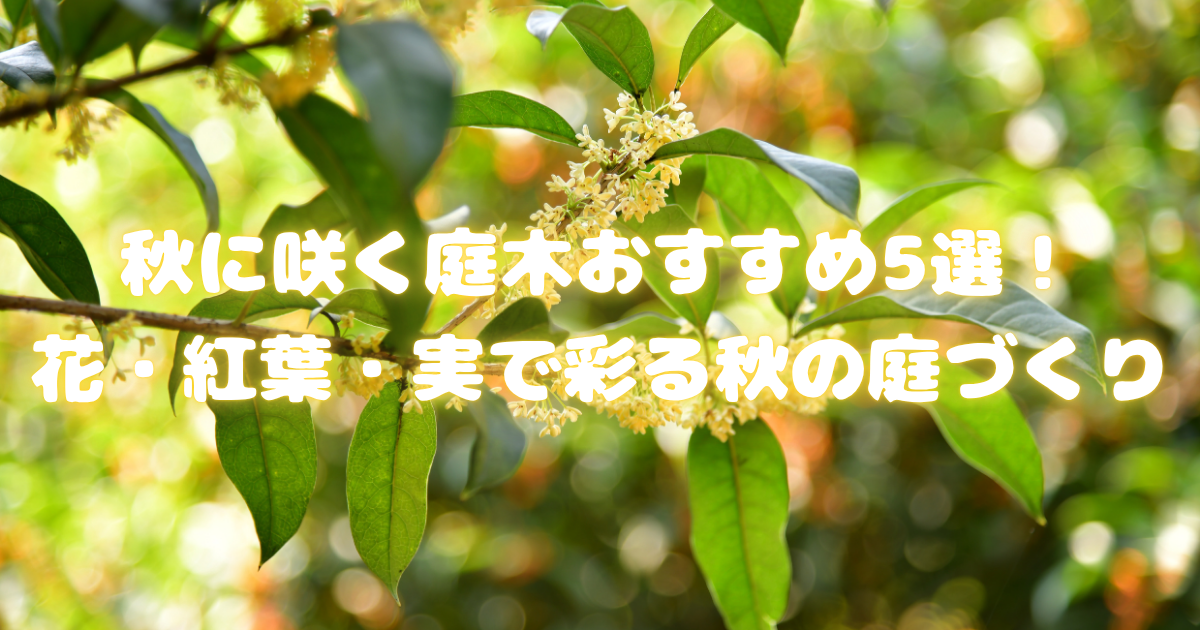 秋に咲く庭木おすすめ5選！花・紅葉・実で彩る秋の庭づくり