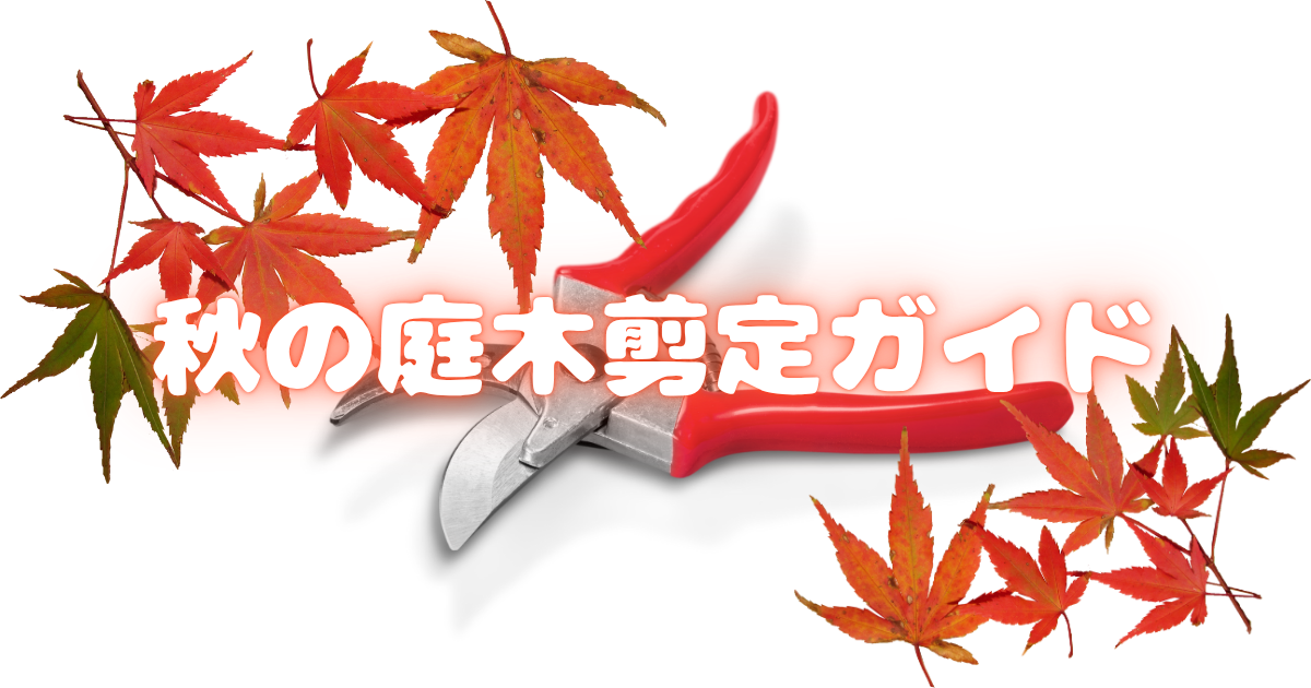 秋の庭木剪定ガイド