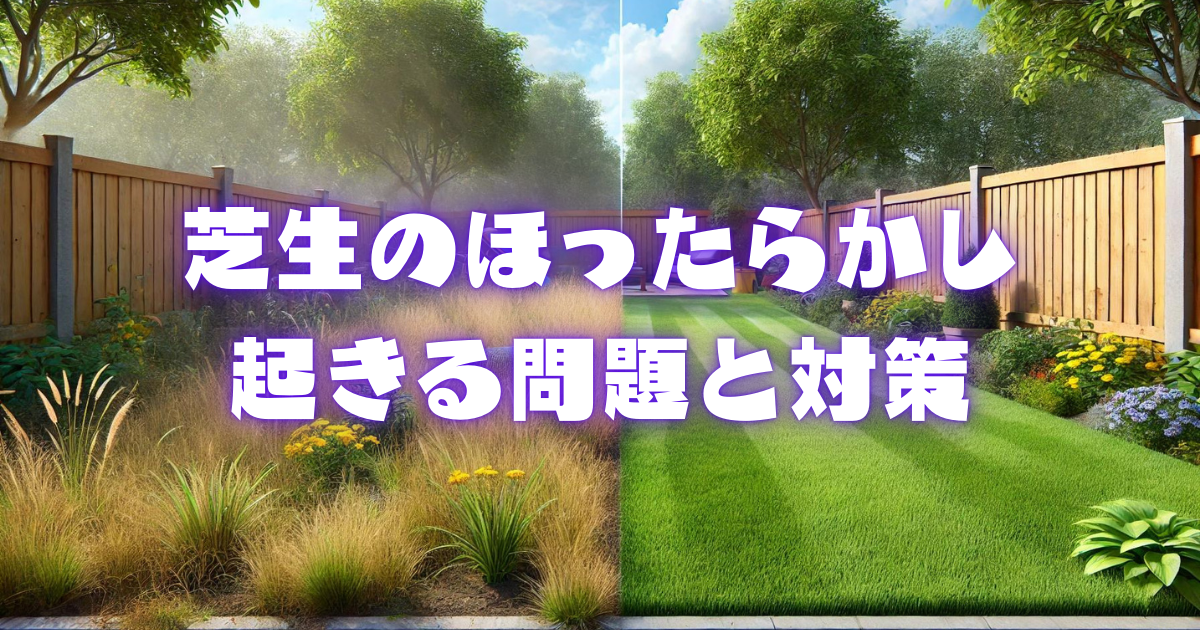 芝生のほったらかしで起きる問題とその対策方法