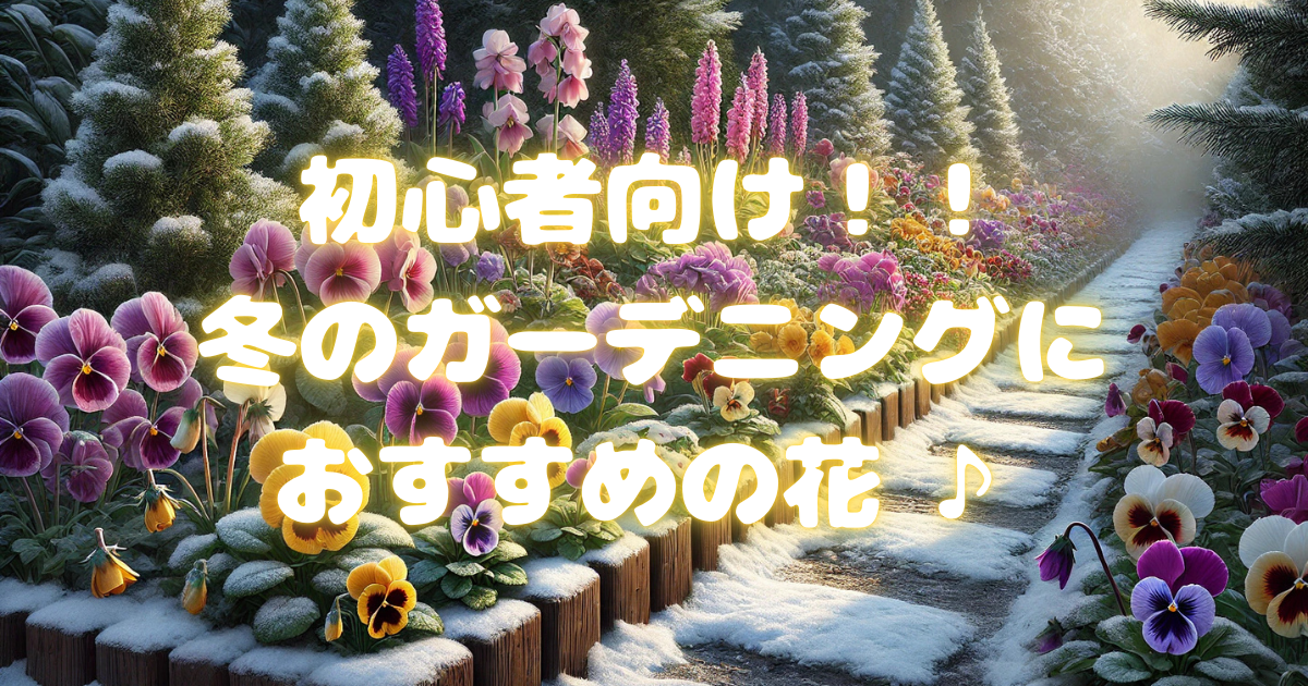 【初心者向け】冬に咲く花とガーデニングおすすめ植物10選 | ビギナーガーデニング