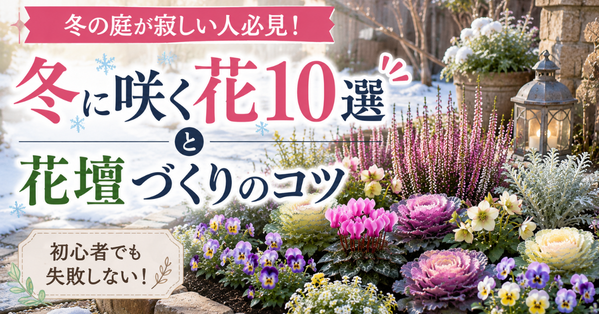 【冬の庭が寂しい人必見！】初心者でも失敗しない冬に咲く花10選と花壇づくりのコツ