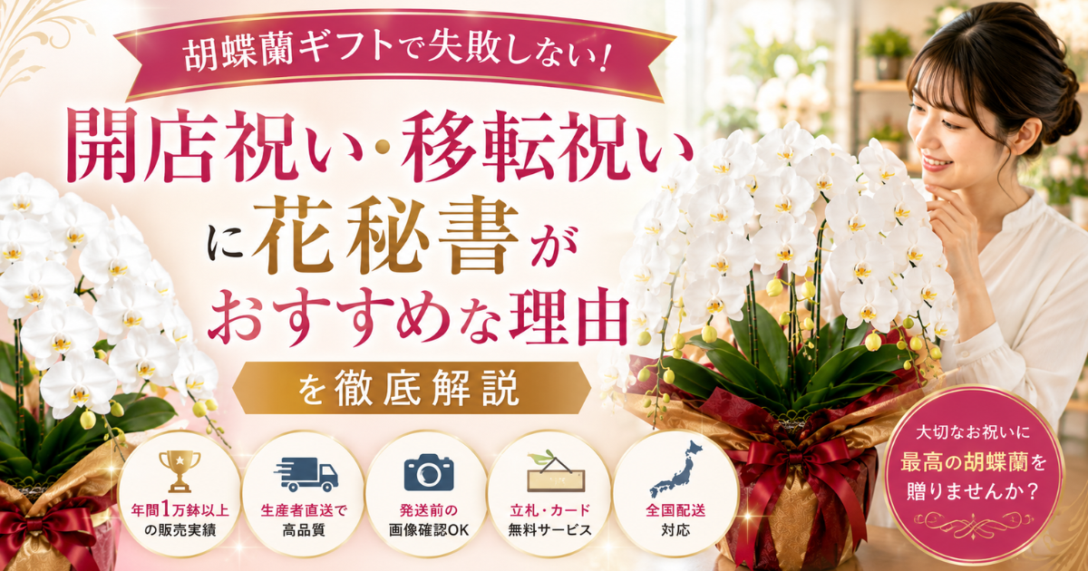 胡蝶蘭ギフトで失敗しない！開店祝い・移転祝いに花秘書がおすすめな理由を徹底解説