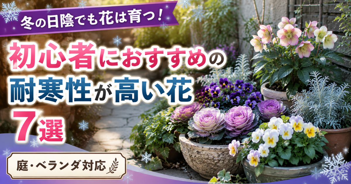 冬の日陰でも花は育つ！初心者におすすめの耐寒性が高い花7選【庭・ベランダ対応】