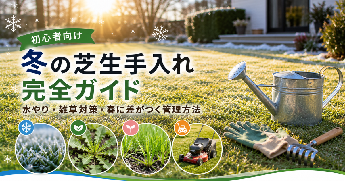 【初心者向け】冬の芝生手入れ完全ガイド：水やり・雑草対策・春に差がつく管理方法