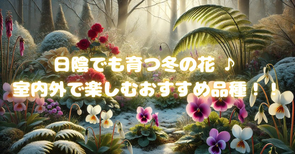 【日陰でも育つ冬の花】室内外で楽しむおすすめの品種