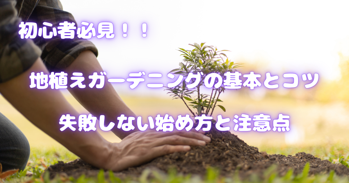 地植えガーデニングの基本とコツ