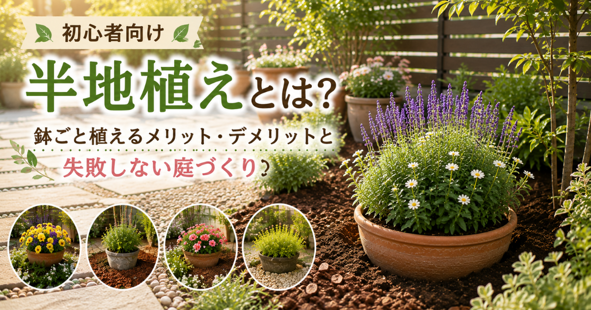 【初心者向け】半地植えとは？鉢ごと植えるメリット・デメリットと失敗しない庭づくり