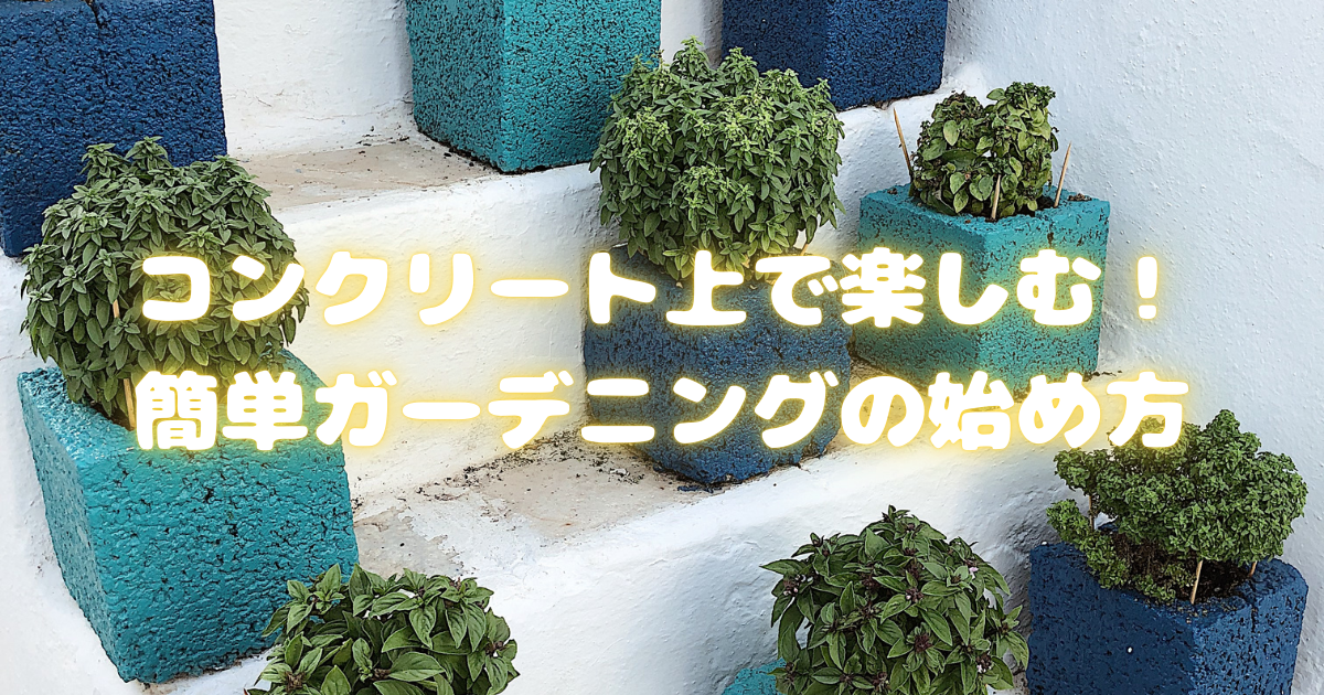 コンクリート上で楽しむ！簡単ガーデニングの始め方