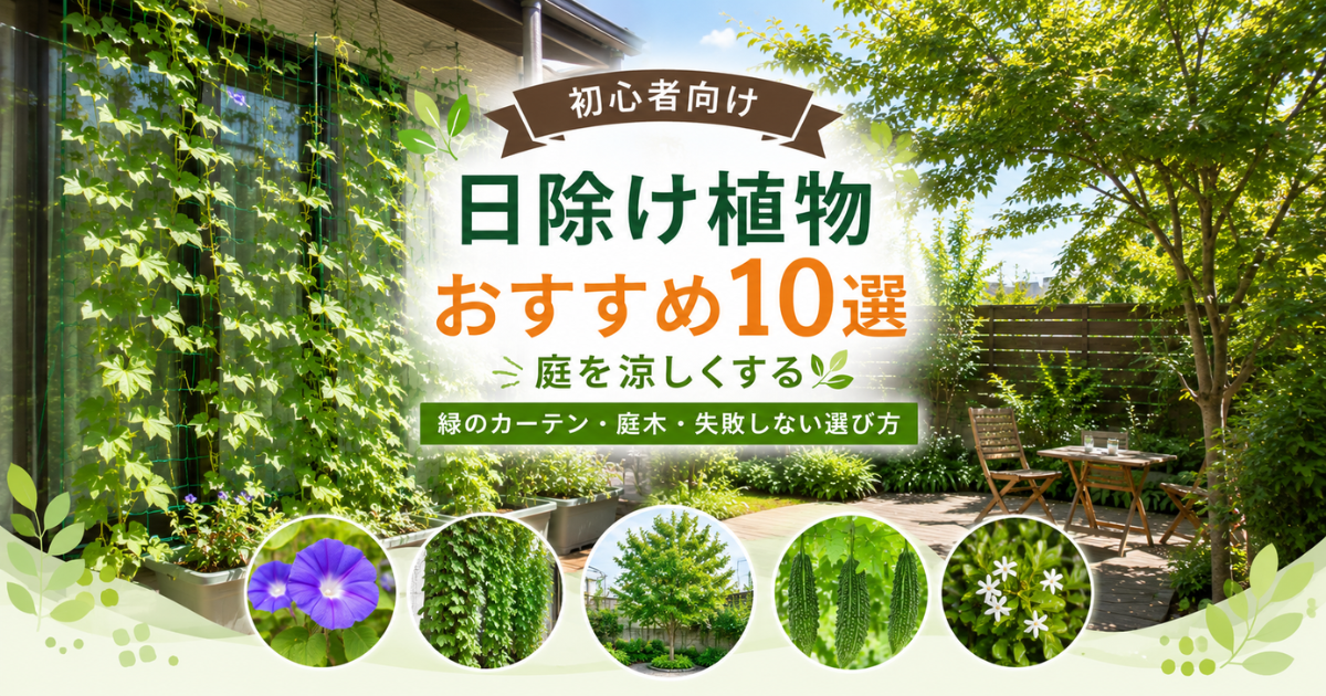 【初心者向け】日除け植物おすすめ10選：庭を涼しくする緑のカーテン・庭木・失敗しない選び方