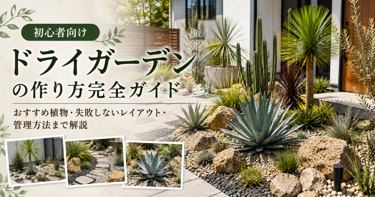 【初心者向け】ドライガーデンの作り方完全ガイド：おすすめ植物・失敗しないレイアウト・管理方法まで解説