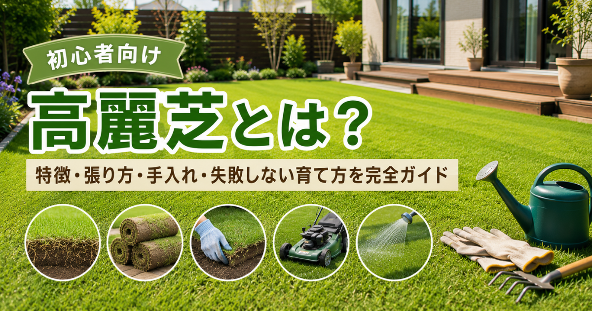 【初心者向け】高麗芝とは？特徴・張り方・手入れ・失敗しない育て方を完全ガイド
