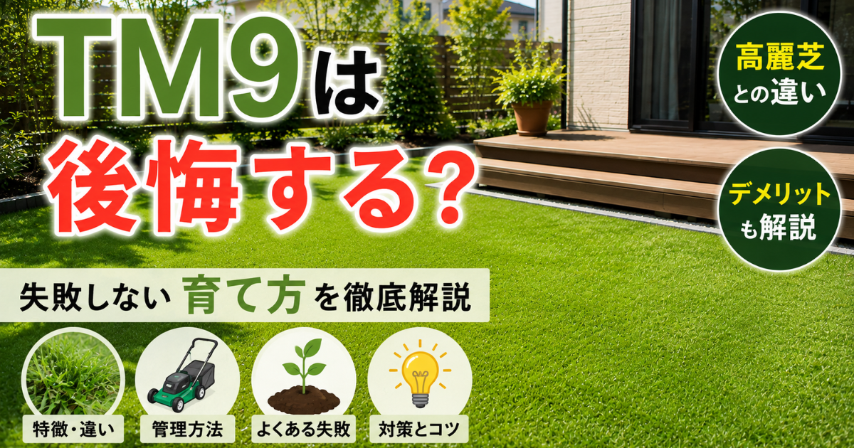【TM9は後悔する？】高麗芝との違い・デメリット・失敗しない育て方を徹底解説