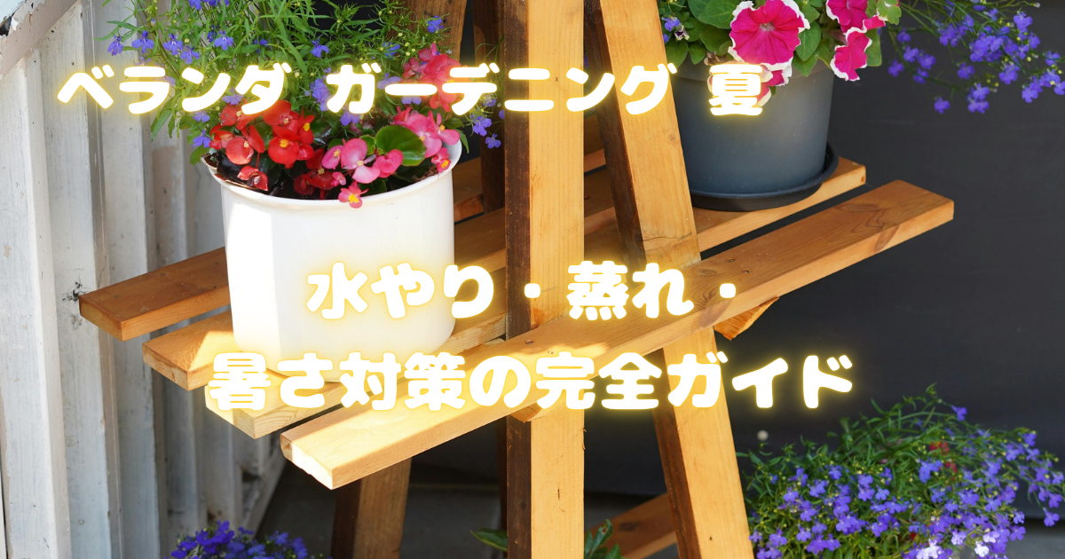 【ベランダ ガーデニング 夏】水やり・蒸れ・暑さ対策の完全ガイド
