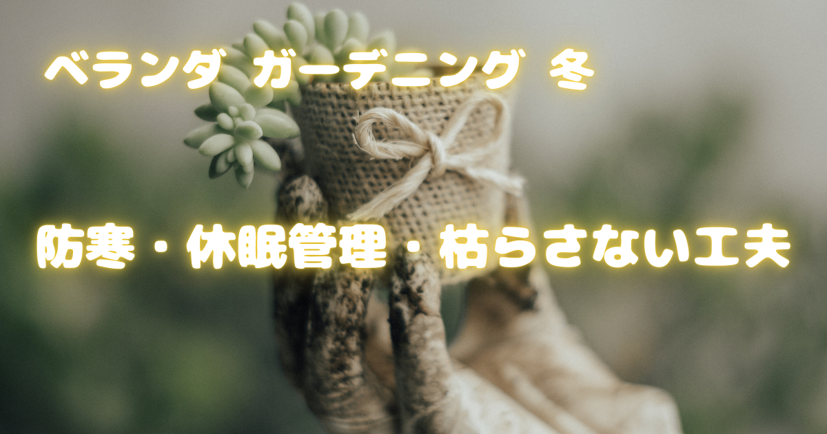 【ベランダ ガーデニング 冬】防寒・休眠管理・枯らさない工夫